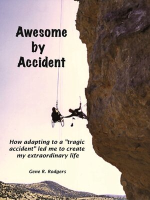 cover image of Awesome by Accident